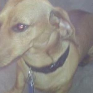 Meet your Posher, Imogene